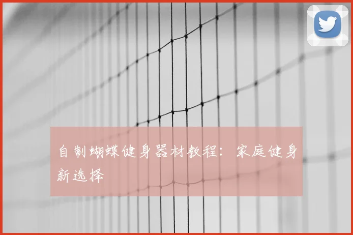 自制蝴蝶健身器材教程：家庭健身新选择